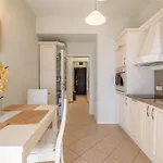 Aristocratic Place, Location Apartamento Sofía